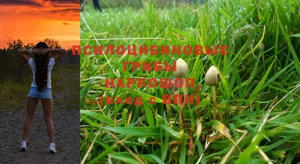 бошки Лиски